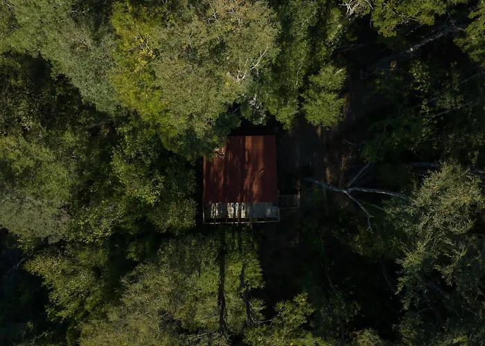 Hermoso Lodge Inserto En Bosque Andino Pucon