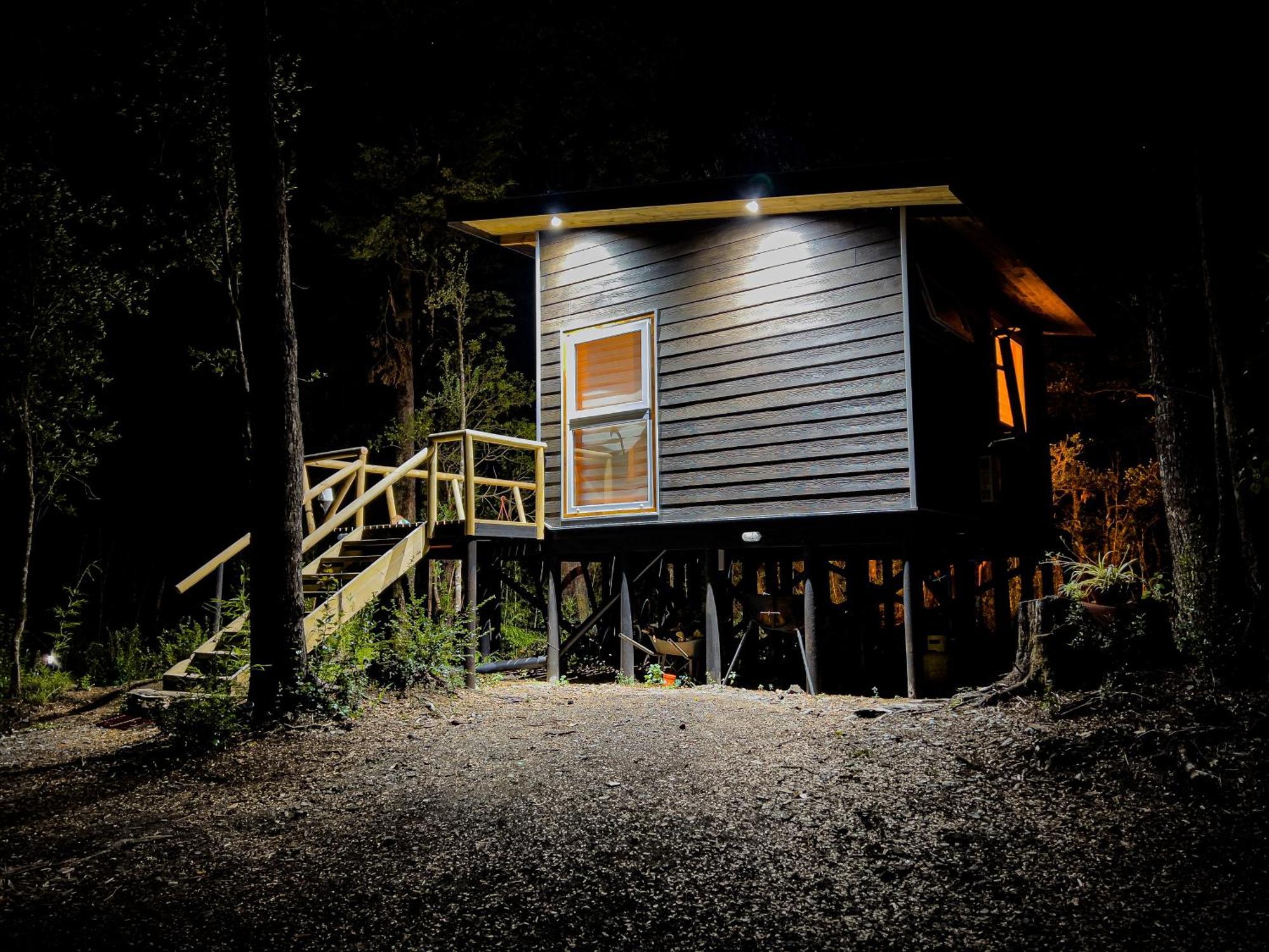 Hermoso Inserto En Bosque Andino