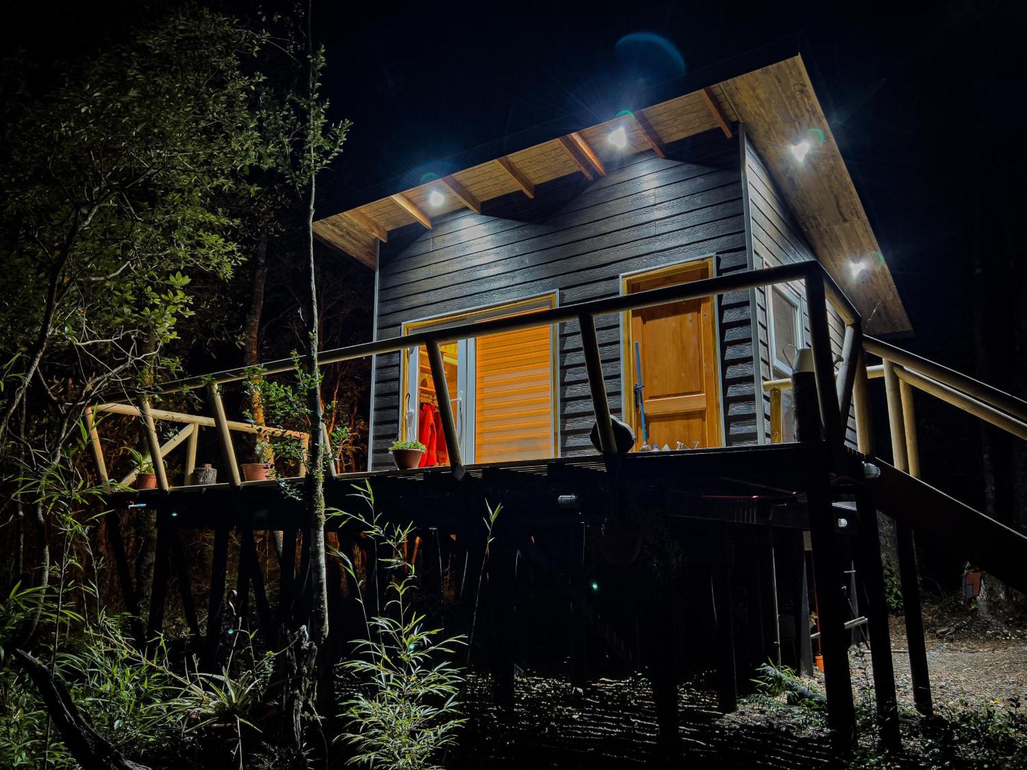 Hermoso Inserto En Bosque Andino Apartamento