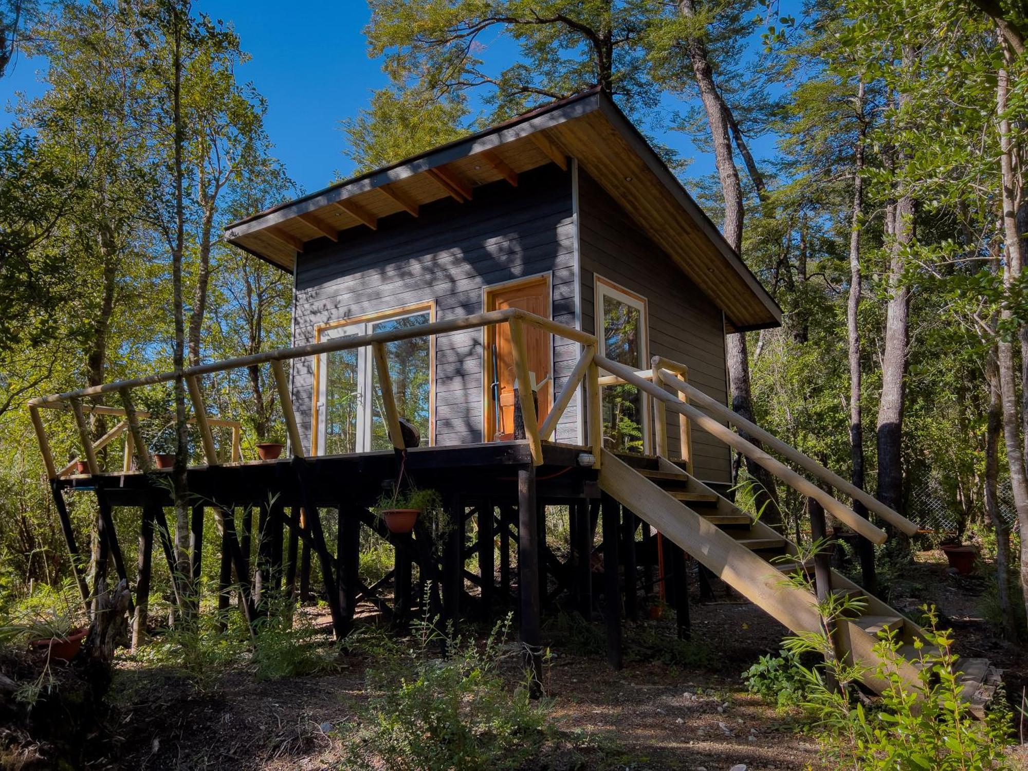Apartamento Hermoso Inserto En Bosque Andino Pucón