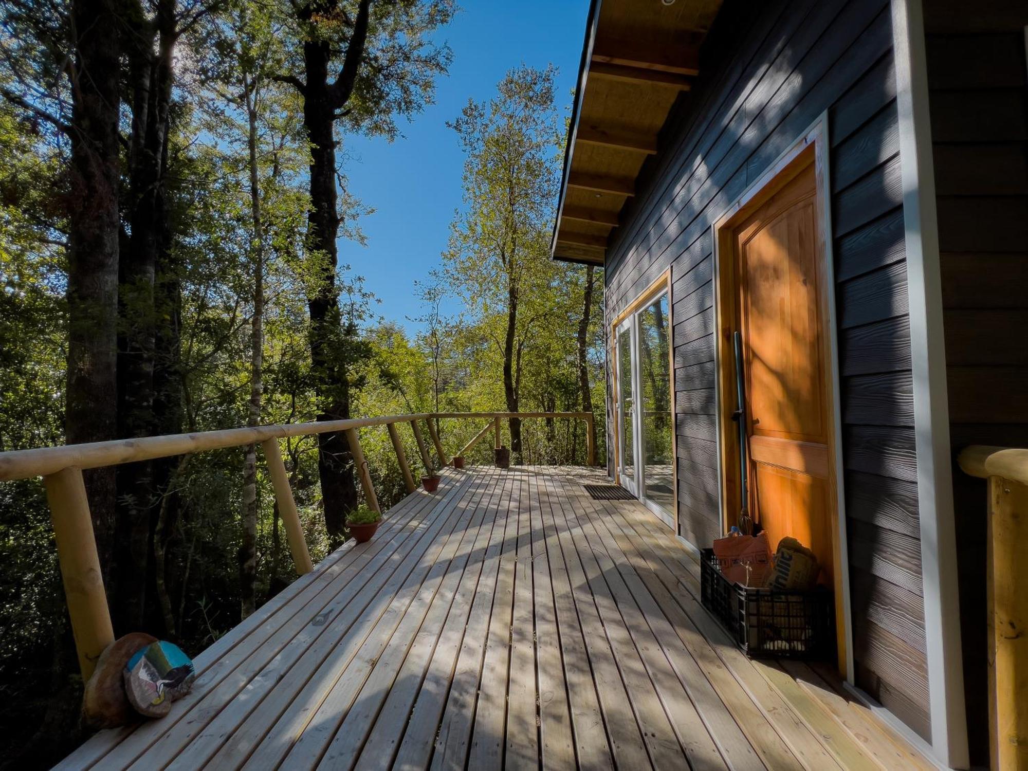 Hermoso Inserto En Bosque Andino
