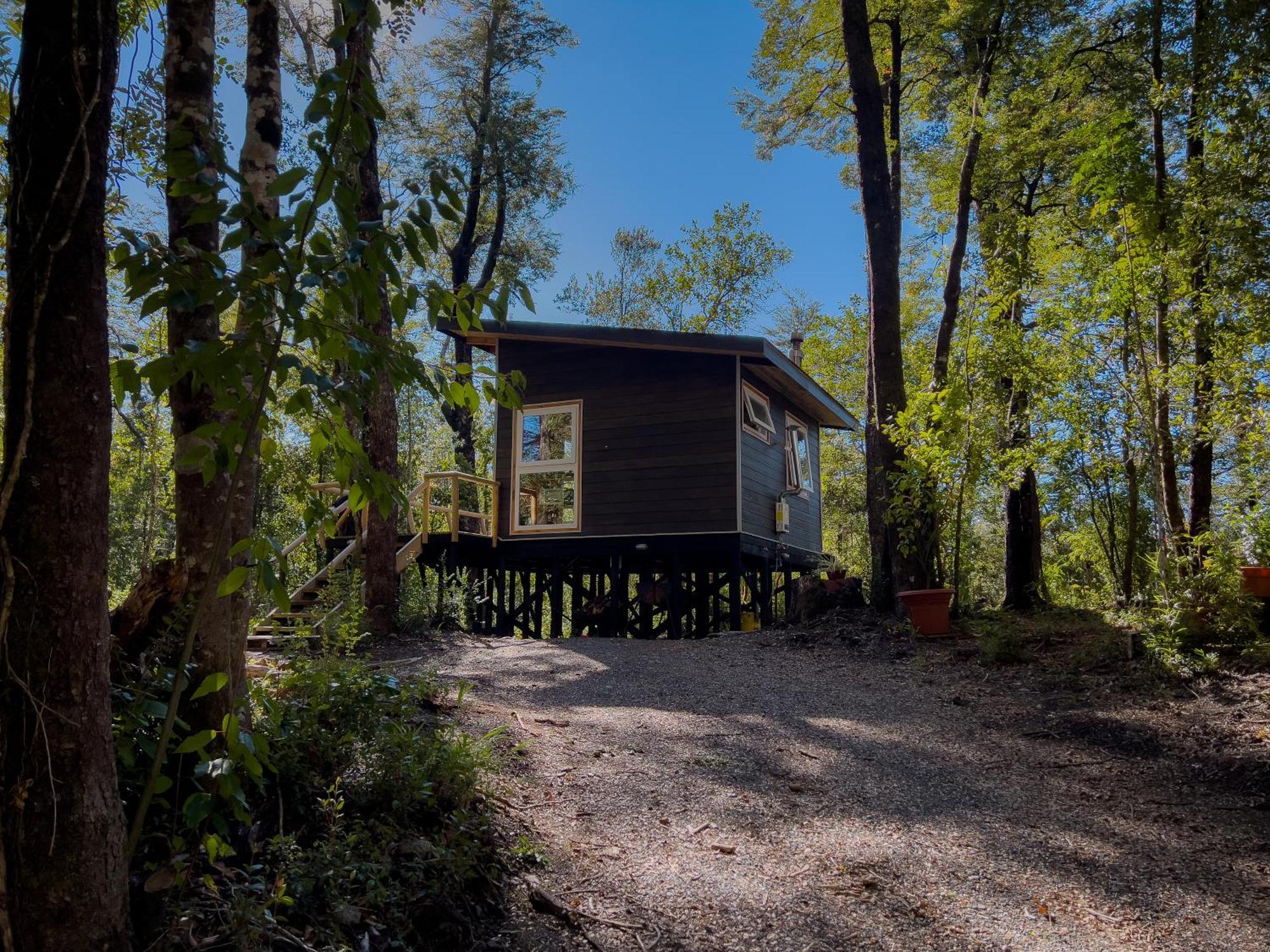 Apartamento Hermoso Inserto En Bosque Andino Pucón