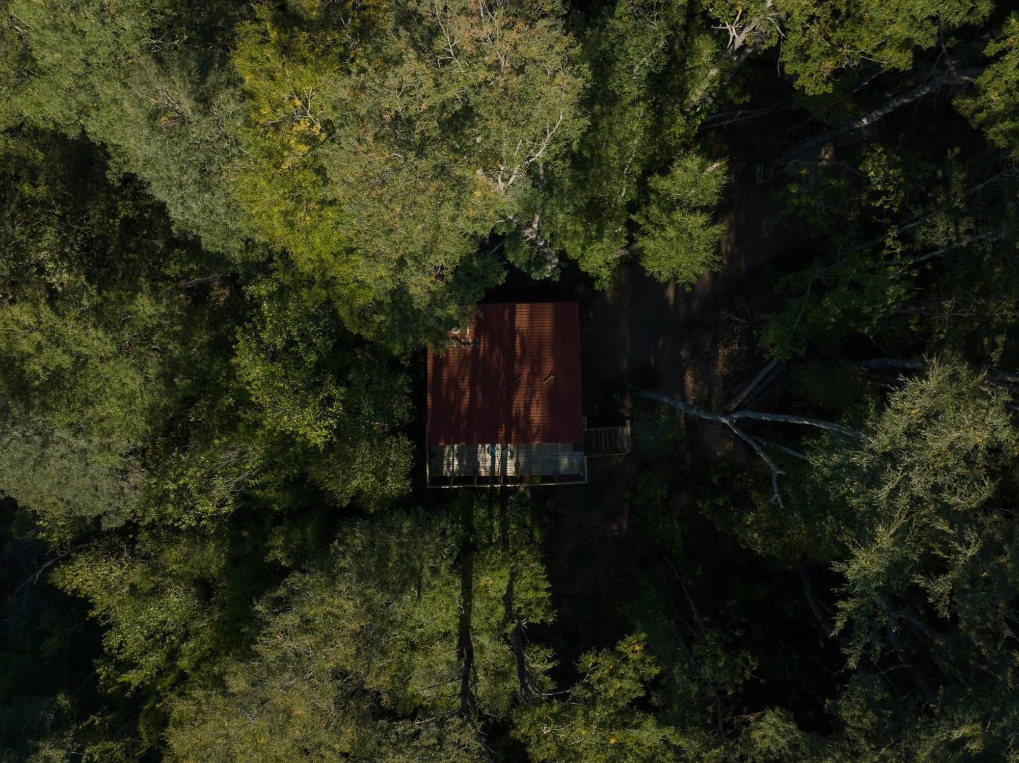 Hermoso Inserto En Bosque Andino * Pucón